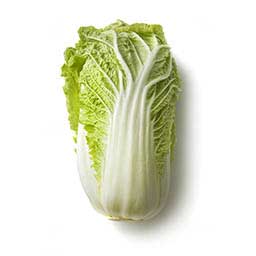 Chinese cabbage