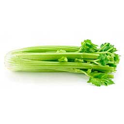 Celery