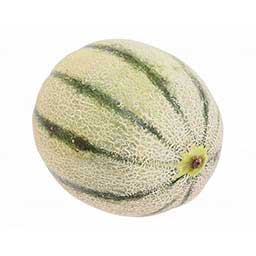 Melon