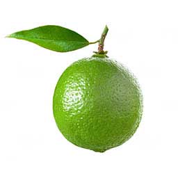 Lime