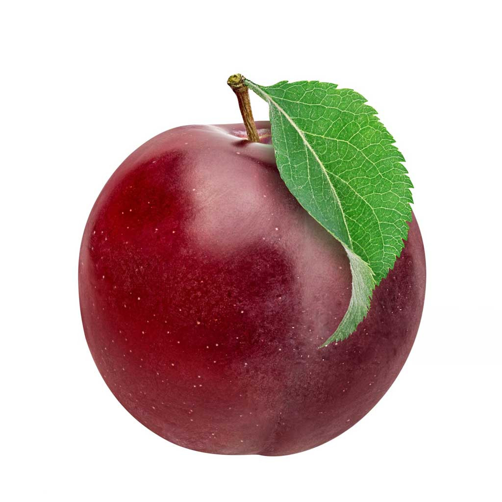 Plum